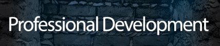 professional development